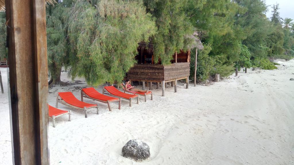 Twisted Palms Lodge & Restaurant Bwejuu Zewnętrze zdjęcie